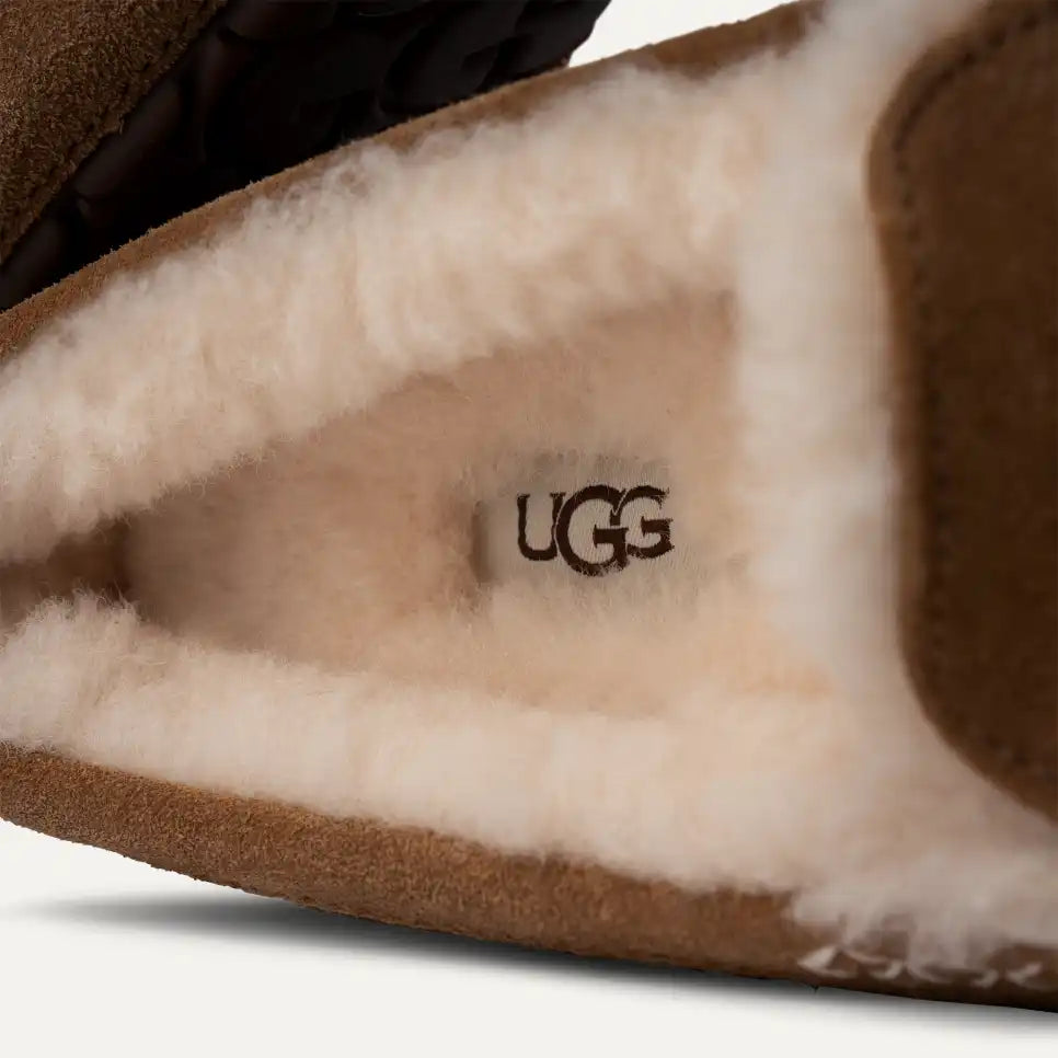 Bottes UGG Ansley pour femmes, châtaigne 1106878