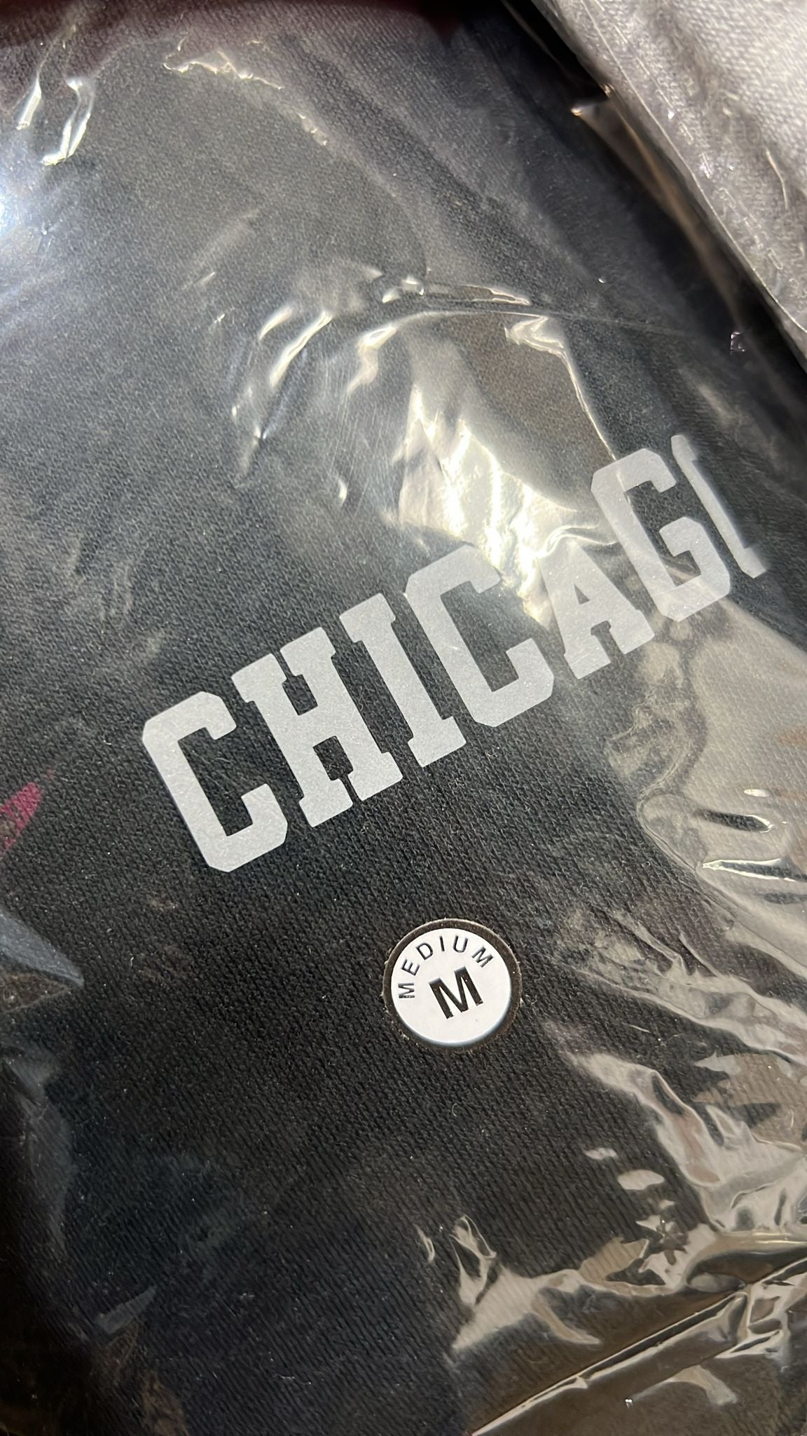 Conjunto de dos piezas de polar con sudadera con capucha Chicago